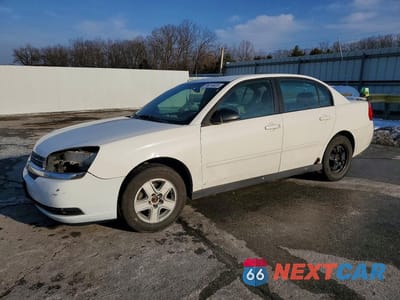 2005 CHEVROLET MALIBU LS 1G1ZT52845F236856 - główne zdjęcie licytacji z USA - miniatura