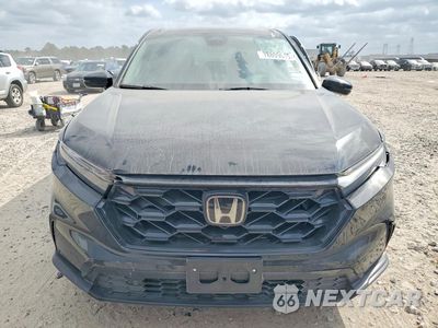 Piąte zdjęcie samochodu w środku: 2024 HONDA CR-V EXL VIN:2HKRS4H79RH451910 - miniatura