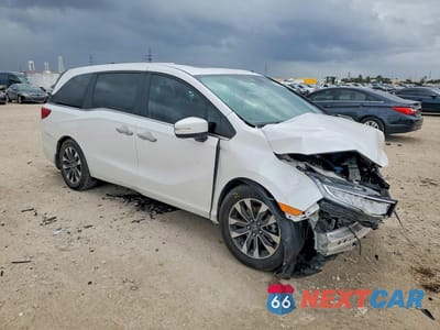 Czwarte zdjęcie samochodu z boku: 2024 HONDA ODYSSEY EXL VIN:5FNRL6H60RB069540 - miniatura