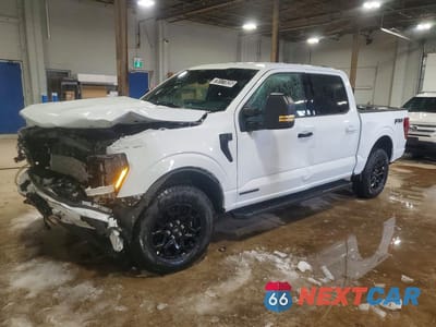 2025 FORD F150 XLT 1FTFW3LD1SFB70991 - główne zdjęcie licytacji z USA - miniatura