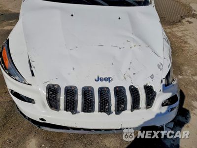 Zdjęcie 12 z 14 samochodu: 2015 JEEP CHEROKEE LIMITED VIN:1C4PJMDS2FW717035 - miniatura