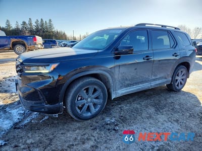 2024 HONDA PILOT ELITE 5FNYG1H86RB500306 - główne zdjęcie licytacji z USA - miniatura