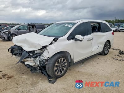 2024 HONDA ODYSSEY EXL 5FNRL6H60RB069540 - główne zdjęcie licytacji z USA - miniatura