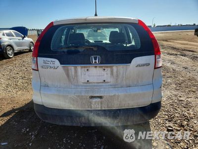 Zdjęcie 6 z 12 samochodu: 2014 HONDA CR-V LX VIN:5J6RM4H34EL060266 - miniatura