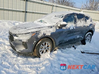 2025 FORD ESCAPE ACTIVE 1FMCU9GN4SUA15566 - główne zdjęcie licytacji z USA - miniatura