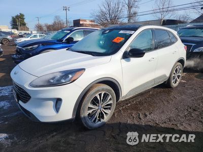 2022 FORD ESCAPE SEL 1FMCU9H90NUA31771 - główne zdjęcie licytacji z USA - miniatura