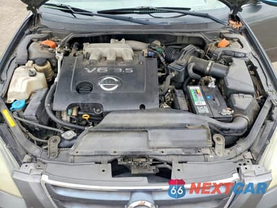 Zdjęcie 11 z 11 samochodu: 2004 NISSAN ALTIMA 3.5 SE VIN:1N4BL11EX4C142883 - miniatura