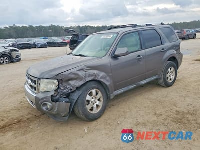 2011 FORD ESCAPE LIMITED 1FMCU0E73BKA90903 - główne zdjęcie licytacji z USA - miniatura