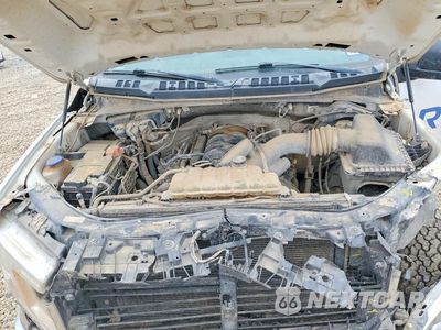 Zdjęcie 11 z 12 samochodu: 2019 FORD F150 SUPERCREW VIN:1FTFW1E57KKE21126 - miniatura