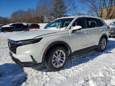 2025 HONDA CR-V EX 2HKRS4H41SH422221 - główne zdjęcie licytacji z USA - miniatura
