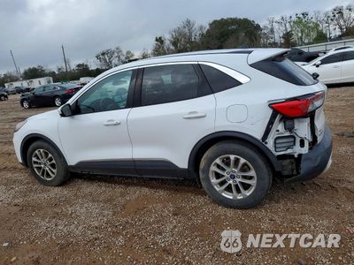 Drugie zdjęcie samochodu z przodu: 2020 FORD ESCAPE SE VIN:1FMCU0G60LUB22166 - miniatura