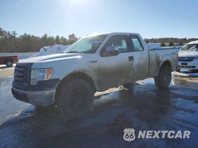 2011 FORD F150 SUPER CAB 1FTEX1EM7BFB94593 - główne zdjęcie licytacji z USA - miniatura