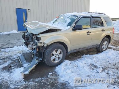 2012 FORD ESCAPE XLT 1FMCU9D72CKB26149 - główne zdjęcie licytacji z USA - miniatura
