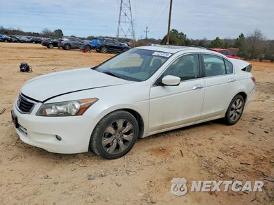 2008 HONDA ACCORD EXL 1HGCP36888A031172 - główne zdjęcie licytacji z USA - miniatura