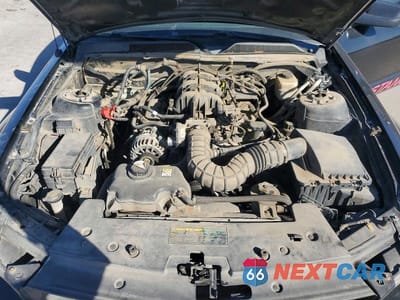 Zdjęcie 11 z 12 samochodu: 2008 FORD MUSTANG VIN:1ZVHT80N385129351 - miniatura