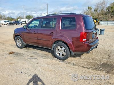 Drugie zdjęcie samochodu z przodu: 2009 HONDA PILOT EXL VIN:5FNYF38639B006482 - miniatura