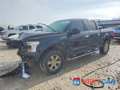 2016 FORD F150 SUPERCREW 1FTEW1EP3GFD22624 - główne zdjęcie licytacji z USA - miniatura