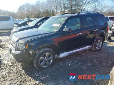 2009 FORD ESCAPE LIMITED 1FMCU04G49KB26027 - główne zdjęcie licytacji z USA - miniatura