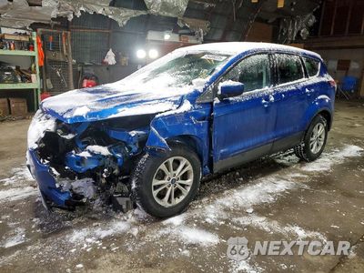 2017 FORD ESCAPE SE 1FMCU0G99HUE28915 - główne zdjęcie licytacji z USA - miniatura