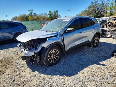 2022 FORD ESCAPE SE 1FMCU0G68NUB61672 - główne zdjęcie licytacji z USA - miniatura