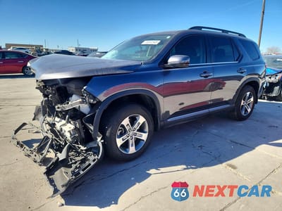 2024 HONDA PILOT EXL 5FNYG2H44RB010319 - główne zdjęcie licytacji z USA - miniatura