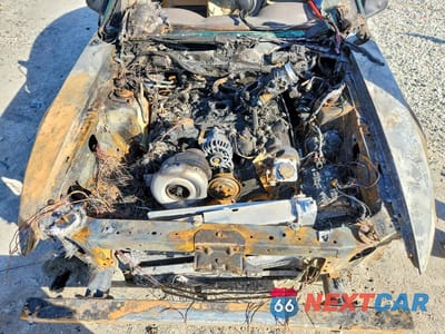 Zdjęcie 11 z 11 samochodu: 1999 FORD MUSTANG GT VIN:1FAFP42X5XF172478 - miniatura