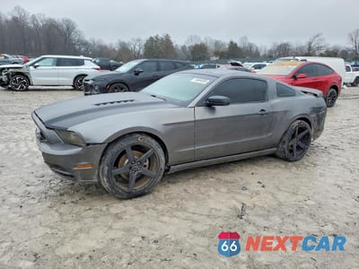 2014 FORD MUSTANG 1ZVBP8AM9E5300115 - główne zdjęcie licytacji z USA - miniatura