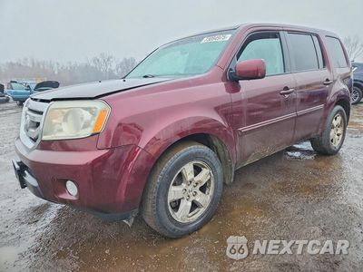 2011 HONDA PILOT EXL 5FNYF4H55BB080022 - główne zdjęcie licytacji z USA - miniatura