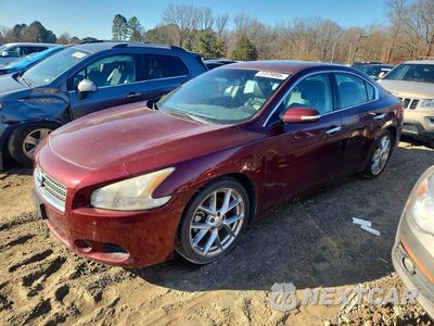 2010 NISS MAXIMA S 1N4AA5APXAC837287 - główne zdjęcie licytacji z USA - miniatura