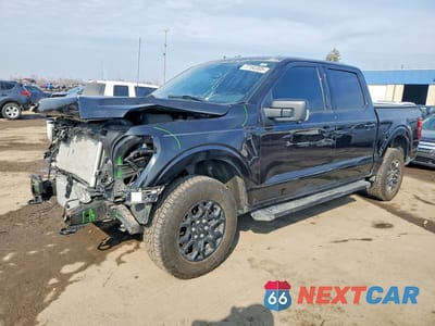 2024 FORD F150 XLT 1FTEW3LP0RKD87679 - główne zdjęcie licytacji z USA - miniatura