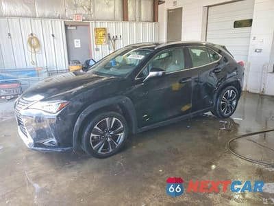 2019 LEXUS UX 200 BASE JTHY3JBH2K2013387 - główne zdjęcie licytacji z USA - miniatura