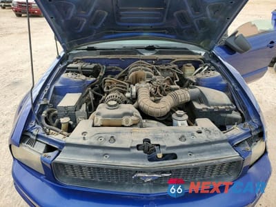 Zdjęcie 11 z 11 samochodu: 2005 FORD MUSTANG VIN:1ZVHT84N055253857 - miniatura