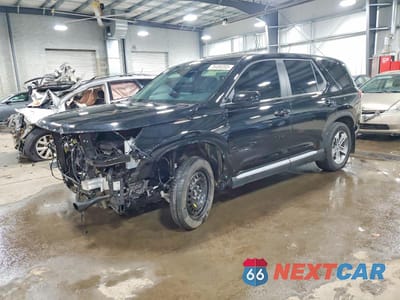 2025 HONDA PILOT EXL 5FNYG1H43SB035633 - główne zdjęcie licytacji z USA - miniatura