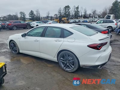 Drugie zdjęcie samochodu z przodu: 2025 ACURA TLX A-SPEC VIN:19UUB6F58SA005379 - miniatura