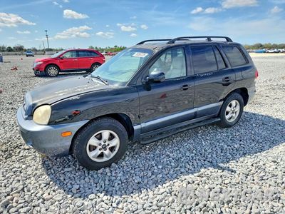 2005 HYUNDAI SANTA FE GLS KM8SC13E95U878714 - główne zdjęcie licytacji z USA - miniatura