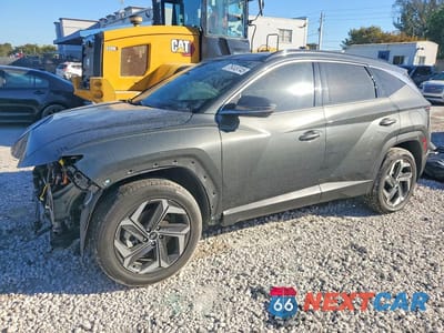 2024 HYUNDAI TUCSON LIMITED KM8JECD10RU184982 - główne zdjęcie licytacji z USA - miniatura