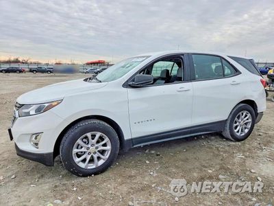 2019 CHEVROLET EQUINOX LS 3GNAXSEV3KS673626 - główne zdjęcie licytacji z USA - miniatura