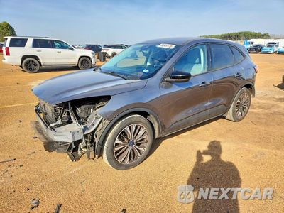 2022 FORD ESCAPE SE 1FMCU0G65NUB19959 - główne zdjęcie licytacji z USA - miniatura