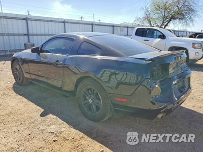 Drugie zdjęcie samochodu z przodu: 2014 FORD MUSTANG VIN:1ZVBP8AM5E5237241 - miniatura