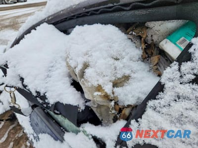 Zdjęcie 8 z 11 samochodu: 2022 TESLA MODEL 3 VIN:5YJ3E1EB5NF182401 - miniatura