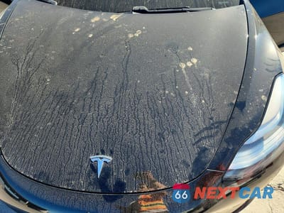 Zdjęcie 11 z 12 samochodu: 2019 TESLA MODEL 3 VIN:5YJ3E1EA0KF429360 - miniatura