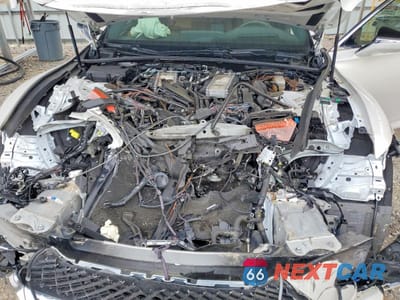 Zdjęcie 11 z 12 samochodu: 2024 LEXUS LS 500 BASE VIN:JTHD51FF3R5019631 - miniatura