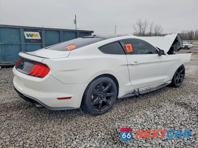Trzecie zdjęcie samochodu z tyłu: 2019 FORD MUSTANG VIN:1FA6P8TH6K5184488 - miniatura