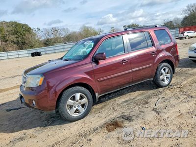 2009 HONDA PILOT EXL 5FNYF38639B006482 - główne zdjęcie licytacji z USA - miniatura