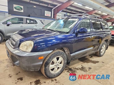2005 HYUNDAI SANTA FE GLS KM8SC73E95U960607 - główne zdjęcie licytacji z USA - miniatura