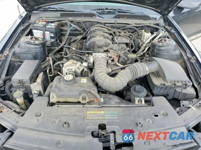 Zdjęcie 11 z 13 samochodu: 2009 FORD MUSTANG VIN:1ZVHT80N795146588 - miniatura