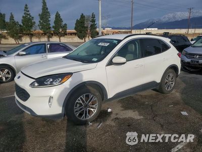 2021 FORD ESCAPE SEL 1FMCU9H67MUA52038 - główne zdjęcie licytacji z USA - miniatura