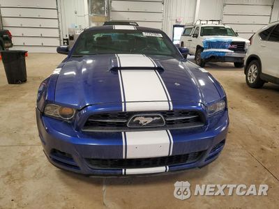 Piąte zdjęcie samochodu w środku: 2014 FORD MUSTANG VIN:1ZVBP8AM1E5219514 - miniatura