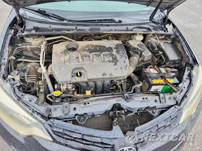 Zdjęcie 11 z 11 samochodu: 2014 TOYOTA COROLLA L VIN:5YFBURHE3EP132099 - miniatura
