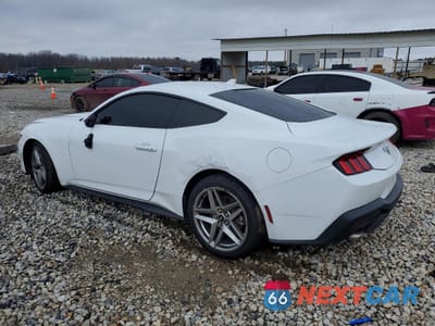 Drugie zdjęcie samochodu z przodu: 2024 FORD MUSTANG VIN:1FA6P8TH4R5118970 - miniatura